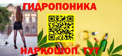 spice Кулебаки