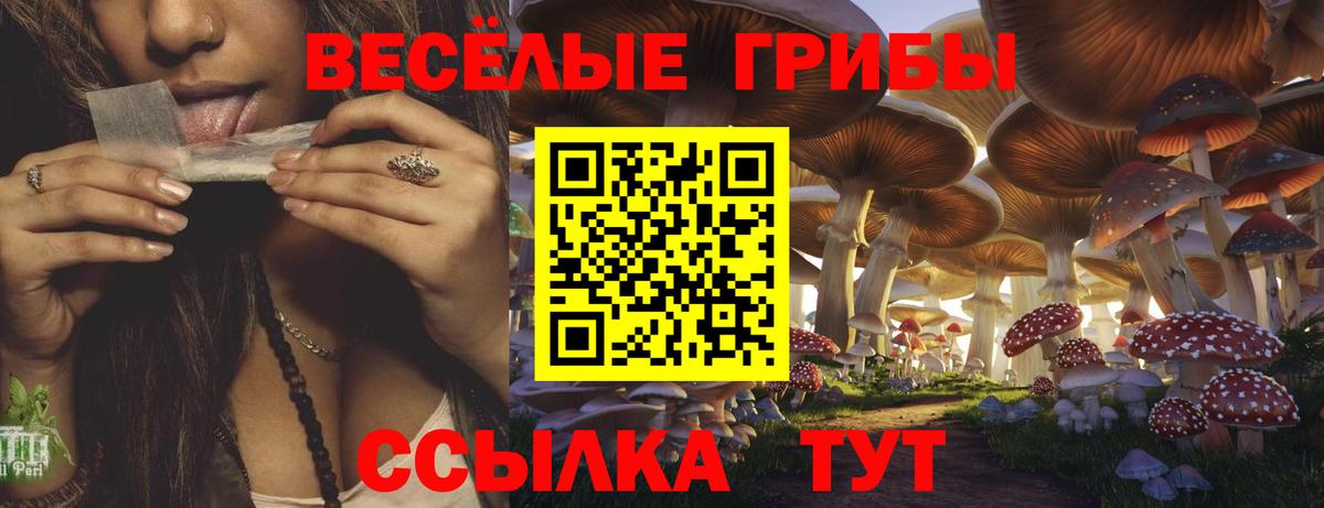 Галлюциногенные грибы ЛСД  хочу   Кемерово  Галлюциногенные грибы прущие грибы  Вход с VPN 